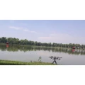 Lansete / Mulinete / Rod Pod