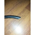 Cobra Carbon