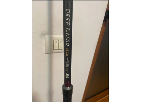 2 Lansete Wild Blade 3,9m 